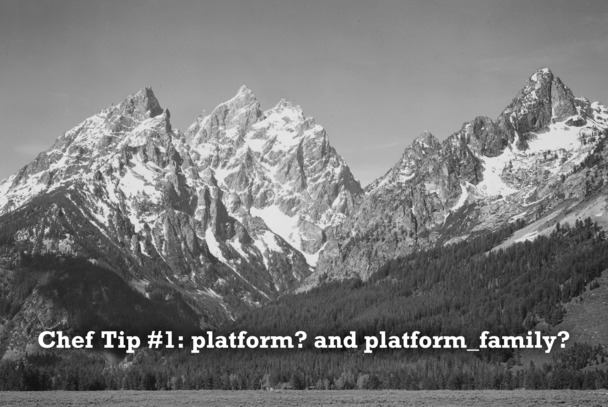 Tip 1: platform? and platform_family?