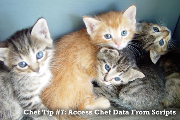 Tip 7: Access Chef Data From Scripts